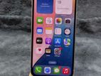 Apple iPhone 13 (Used)