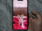 Apple iPhone 13 (Used)