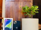 Apple iPhone 14 128GB (Used)