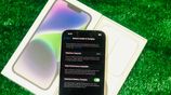 Apple iPhone 14 Plus (Used)