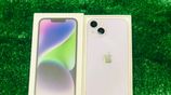 Apple iPhone 14 Plus (Used)