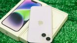 Apple iPhone 14 Plus (Used)