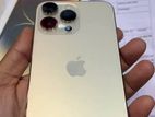 Apple iPhone 14 Pro Max Gold Color (Used)