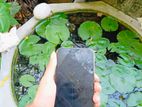 Apple iPhone 14 Pro Max (Used)