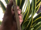Apple iPhone 14 Pro (Used)