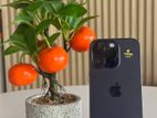 Apple iPhone 14 Pro (Used)