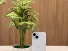 Apple iPhone 15 128GB (Used)