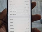 Apple iPhone 15 (Used)
