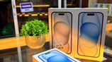 Apple iPhone 15 (Brand New)