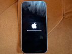 Apple iPhone 15 (Used)