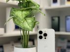 Apple iPhone 15 Pro 512GB (Used)