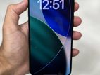 Apple iPhone 15 Pro Max 256GB (Used)