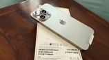 Apple iPhone 15 Pro Max natural Titanium (Used)