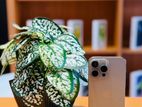 Apple iPhone 15 Pro Max (Used)