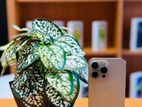 Apple iPhone 15 Pro Max (Used)