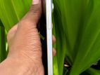 Apple iPhone 15 Pro Max (Used)