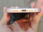 Apple iPhone 15 (Used)