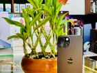 Apple iPhone 15 (Used)