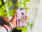Apple iPhone 16 Pro Max (Used)