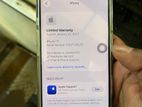 Apple iPhone 17 (Used)