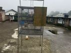 Birds Cage
