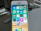 Apple iPhone 5S 32GB (Used)