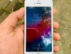 Apple iPhone 5S (Used)