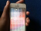 Apple iPhone 5S (Used)