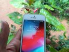 Apple iPhone 5S (Used)