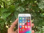 Apple iPhone 6 32GB (Used)