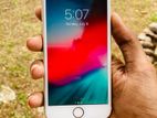 Apple iPhone 6 Gold (Used)