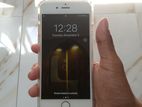 Apple iPhone 6 64GB (Used)