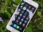 Apple iPhone 6 (Used)