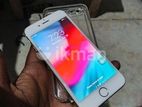 Apple iPhone 6 (Used)