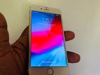 Apple iPhone 6 (Used)