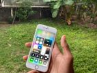 Apple iPhone 6 (Used)
