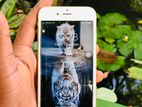 Apple iPhone 6S 64GB (Used)