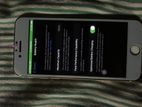 Apple iPhone 6S ipple (Used)
