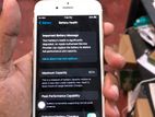 Apple iPhone 6S (Used)