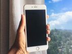 Apple iPhone 6S Plus (Used)