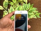 Apple iPhone 6S (Used)