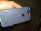 Apple iPhone 7 (Used)