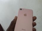 Apple iPhone 7 (Used)