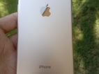 Apple iPhone 7 256GB (Used)