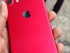 Apple iPhone 7 (Used)