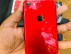 Apple iPhone 7 (Used)