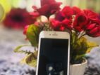 Apple iPhone 7 (Used)