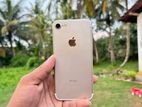 Apple iPhone 7 256GB (Used)