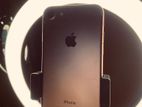 Apple iPhone 7 (Used)