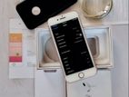 Apple iPhone 7 (Used)